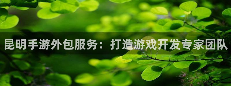 极悦娱乐官网下载：昆明手游外包服务：打造游戏开发专家团队