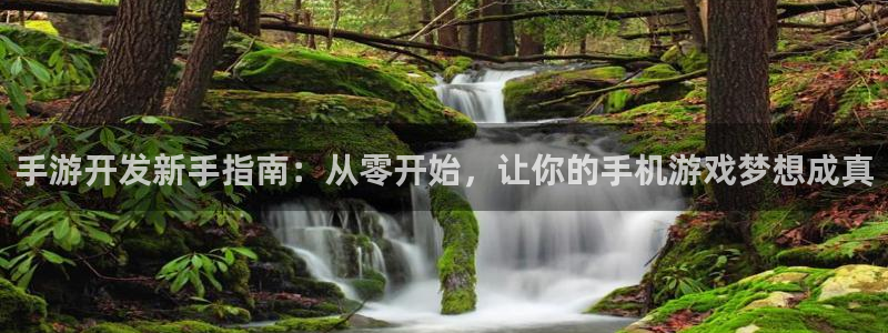 极悦娱乐v5.6.0：手游开发新手指南：从零开始，让你的手机