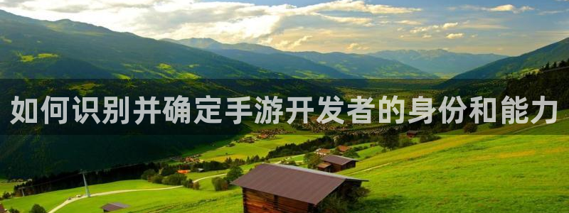 极悦娱乐在线对子预测：如何识别并确定手游开发者的身份和能力