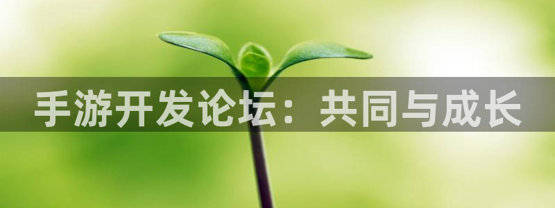 极悦娱乐加拿大：手游开发论坛：共同与成长