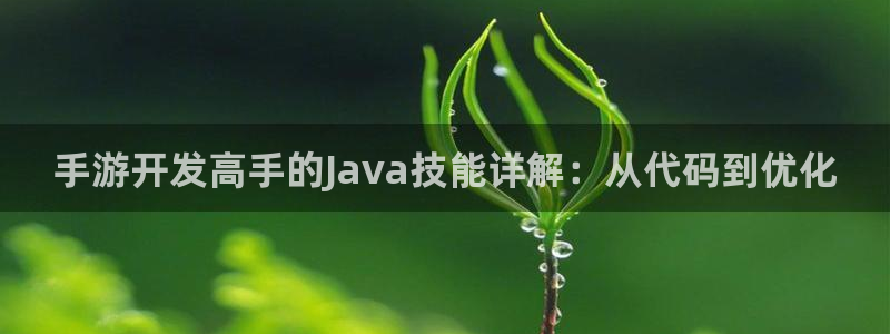 极悦娱乐在线对子预测