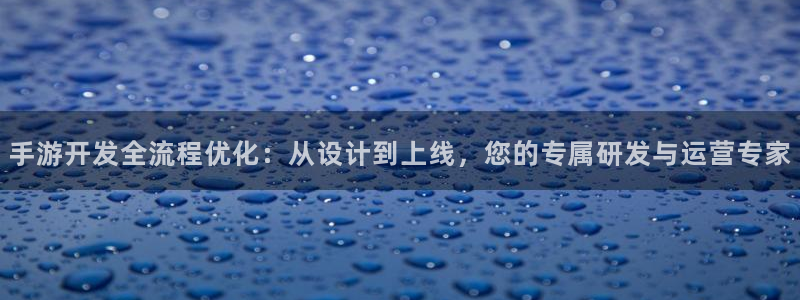 极悦娱乐怎么用不了了：手游开发全流程优化：从设计到上线，您的