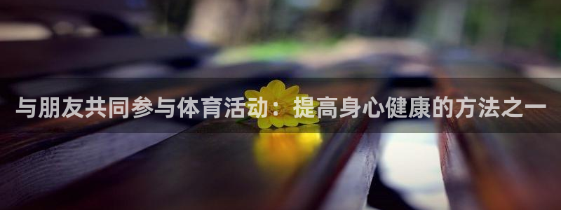 vsport体育