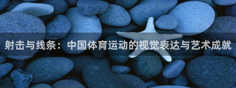 vsport体育在线官网