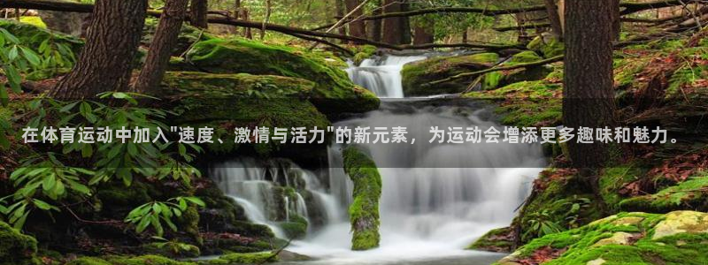 vsport体育在线官网