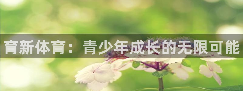 vsport体育在线官网