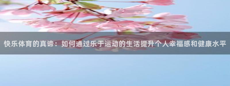 vsport体育