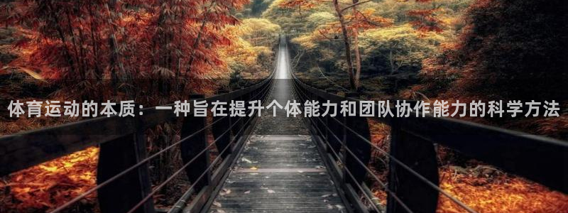 vsport体育在线官网