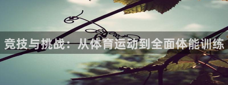 vsport体育在线官网