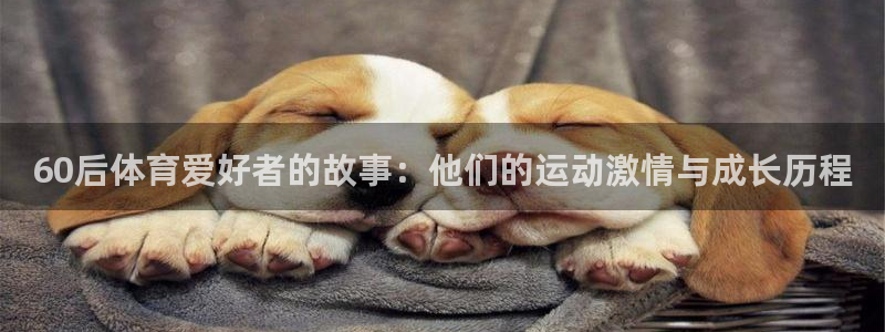 vsport体育在线官网