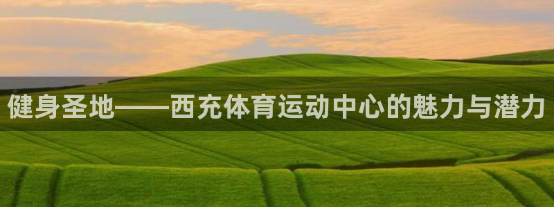 vsport体育