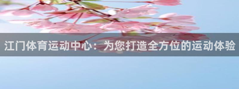 vsport体育
