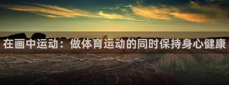 vsport体育在线官网