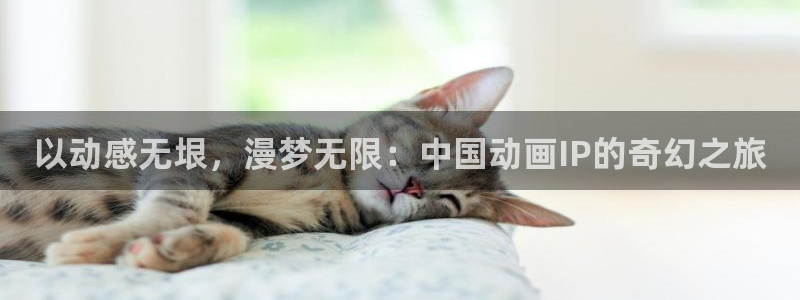 vsport体育在线官网